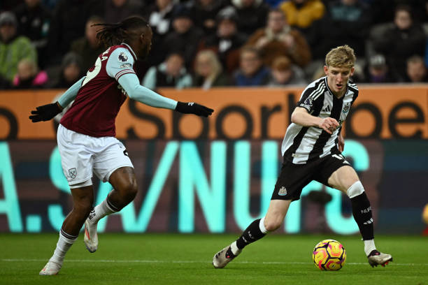 又看重未来 又看重未来