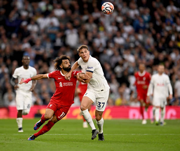 调整为更具 调整为更具